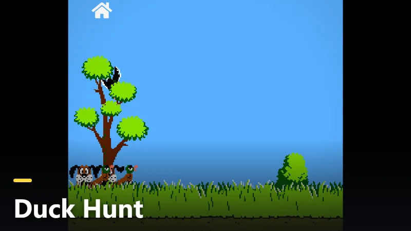 Duck Hunt